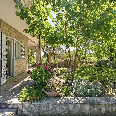 Slavka סקארדין